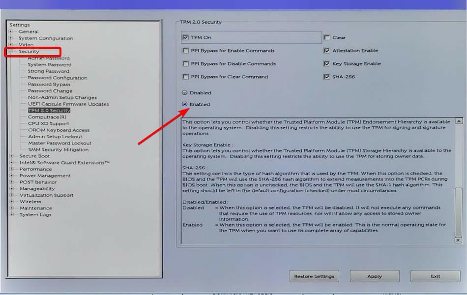 enabled-tpm-bios