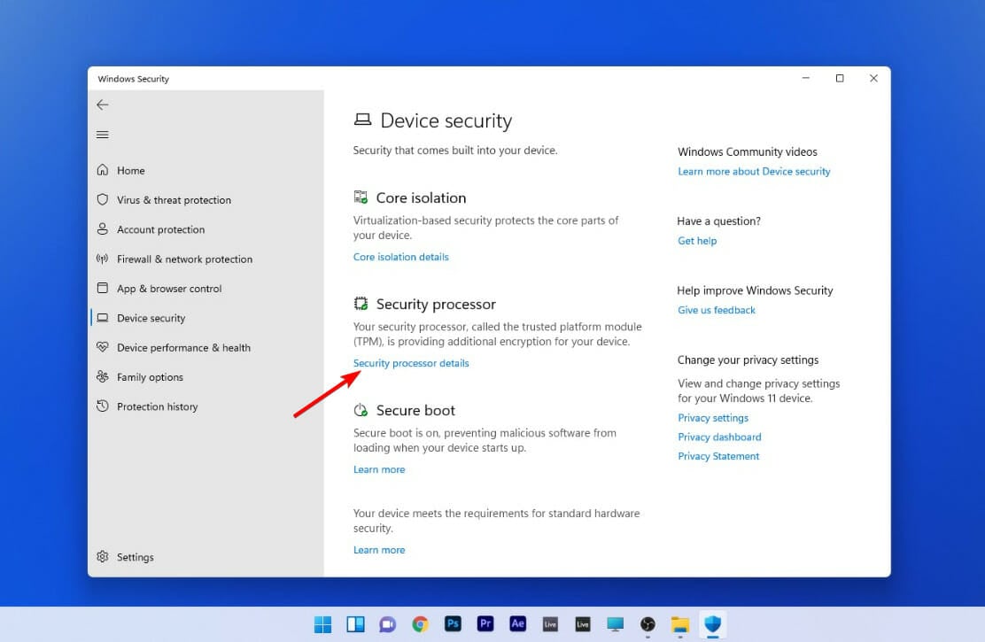 security-processor-details